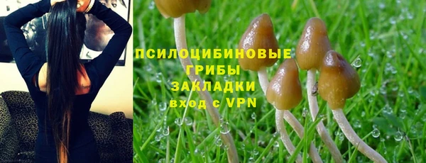 гидра Балабаново