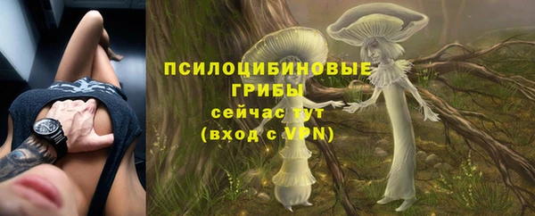 ALPHA PVP Баксан